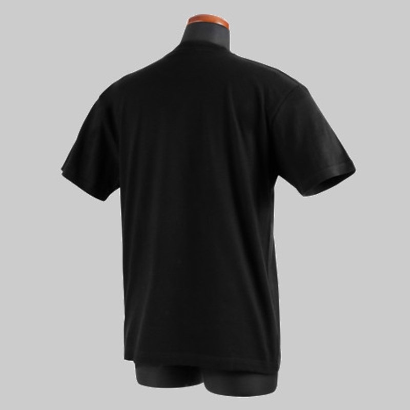 Ibanez Ibanez ロゴTシャツ IBAT007L (L size) 画像2