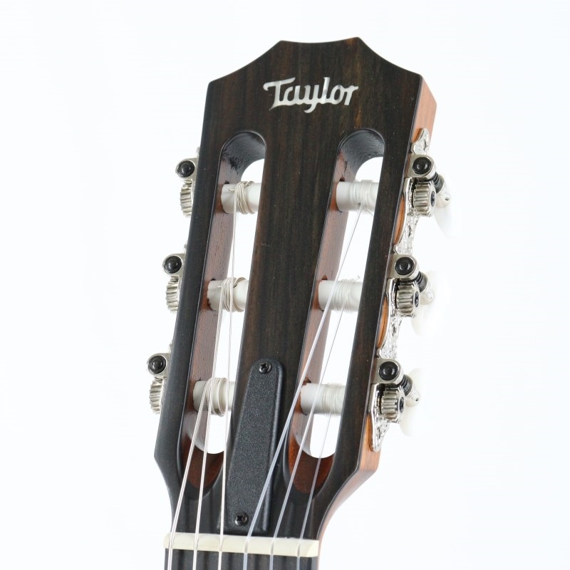 TAYLOR 314ce-Nylon (エレガットモデル) テイラー 画像4