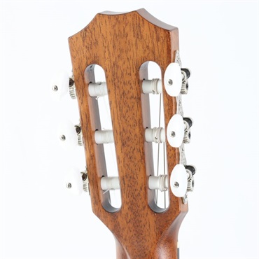 TAYLOR 314ce-Nylon (エレガットモデル) テイラー 画像5