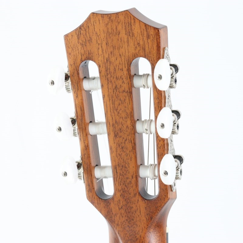 TAYLOR 314ce-Nylon (エレガットモデル) テイラー 画像5