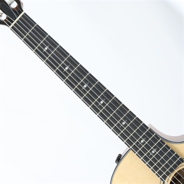 TAYLOR 314ce-Nylon (エレガットモデル) テイラー 画像6