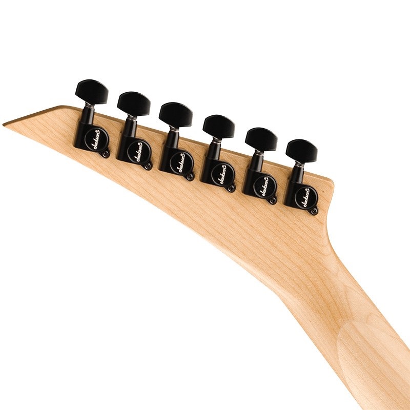 日本製 CHARVEL BY JACKSON Dinky Floyd まぎらわしい Rose 