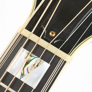 GUILD 【USED】 D-55 NAT 2007年製 ギルド ｜イケベ楽器店