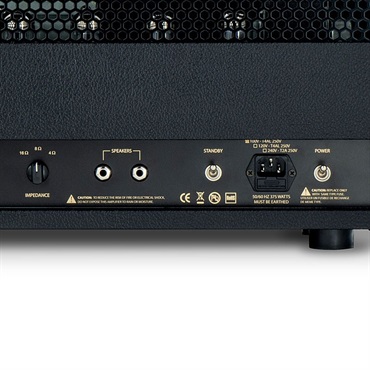 FRIEDMAN BE-100 DELUXE [100W HEAD] 画像8