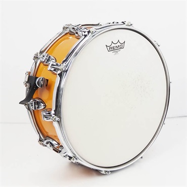 AYOTTE 【USED】AYOTTE Custom Maple Snare Drum [14×6] ｜イケベ楽器 
