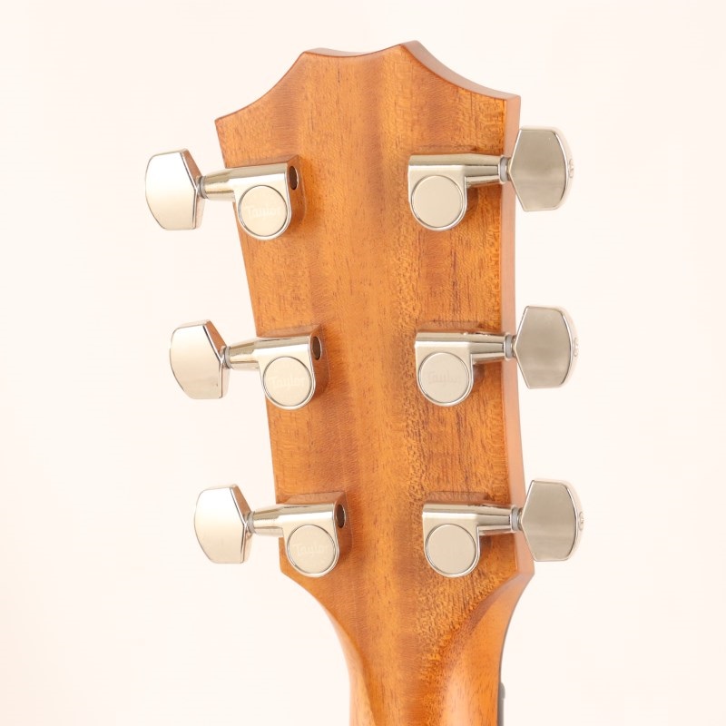 TAYLOR 414ce Rosewood V-Class テイラー ｜イケベ楽器店オンラインストア
