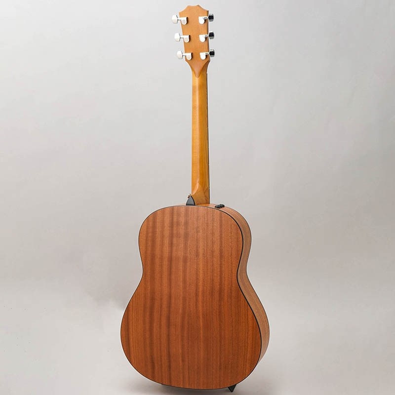 TAYLOR 117e-S テイラー 画像2