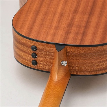 TAYLOR 117e-S テイラー 画像6