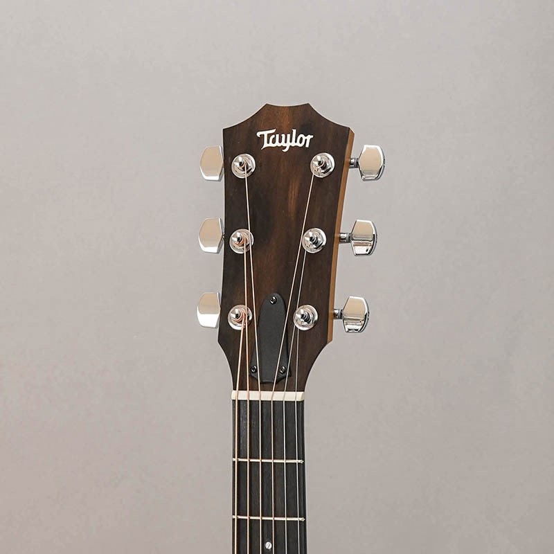 TAYLOR 117e-S テイラー 画像7