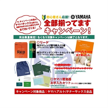 YAMAHA 【受注生産品】アルトサックス ヤマハ YAS-875EXG 【調整&セットアップ後出荷】【5年間キーバランス調整無料】【演奏＆お手入れに必要なもの全て付いてます】 画像9