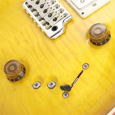 P.R.S. Special Semi-Hollow (McCarty Sunburst) [SN.0376823] 【2024年生産モデル】 画像5