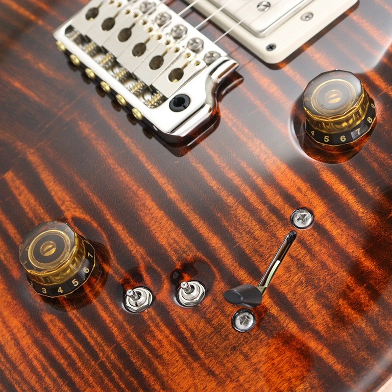 P.R.S. Special Semi-Hollow (Orange Tiger) [SN.035749] 【2024年生産モデル】 画像5
