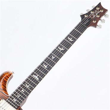 P.R.S. Special Semi-Hollow (Orange Tiger) [SN.035749] 【2024年生産モデル】 画像6