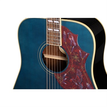 Epiphone 【数量限定エピフォン・アクセサリーパック・プレゼント】Miranda Lambert Bluebird Studio Bluebonnet エピフォン 画像5