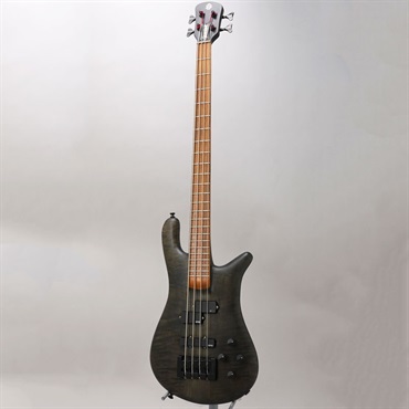 SPECTOR 【USED】 USA Forte 4 (Black Stain Matte) 画像1