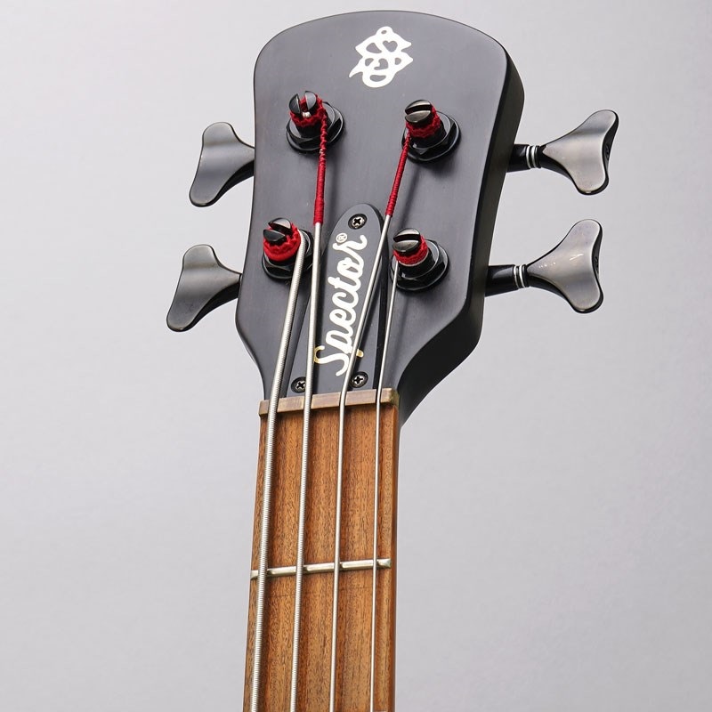 SPECTOR 【USED】 USA Forte 4 (Black Stain Matte) 画像6