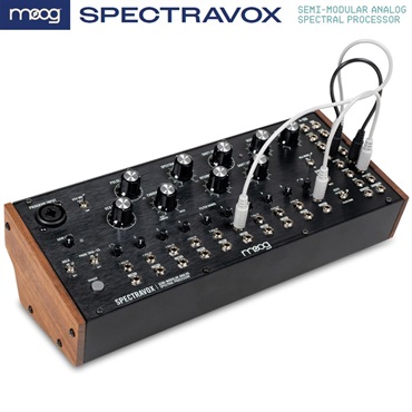 moog 【創業50周年大決算SALE】 モーグ Spectravox (SEMI-MODULAR ANALOG SPECTRAL PROCESSOR) 画像3