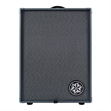 Darkglass Electronics 【お取り寄せ品】 Infinity 500 Combo 210 [DG210D] 画像1