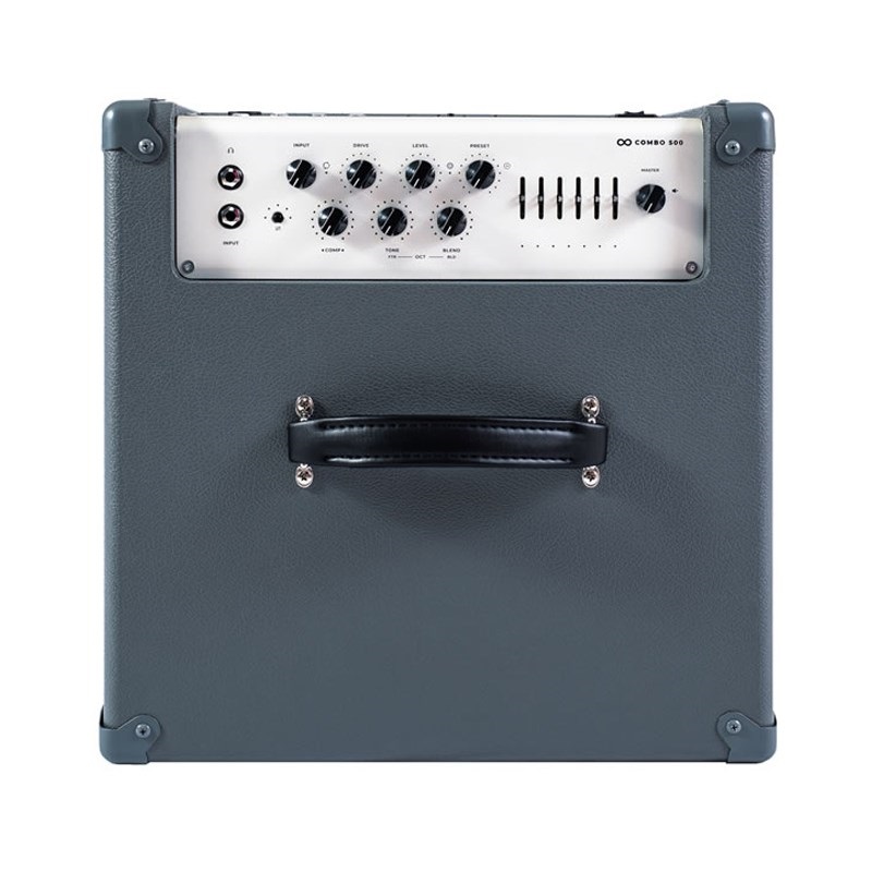 Darkglass Electronics 【お取り寄せ品】 Infinity 500 Combo 210 [DG210D] 画像3
