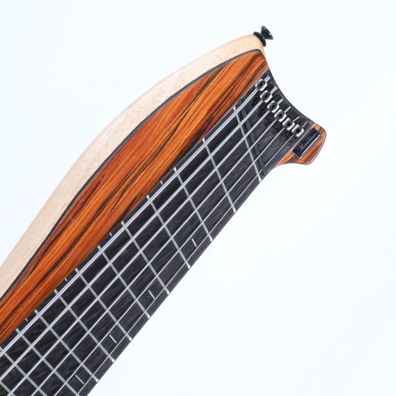 Meridian Vimana II 6st Cocobolo Top ｜イケベ楽器店オンラインストア