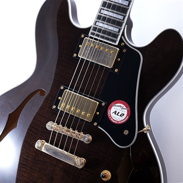 Seventy Seven　セミアコ　EXRUBATO-CTM-JT EXRUBATO-CTM-JT | Deviser ｜株式会社ディバイザー｜長野県松本