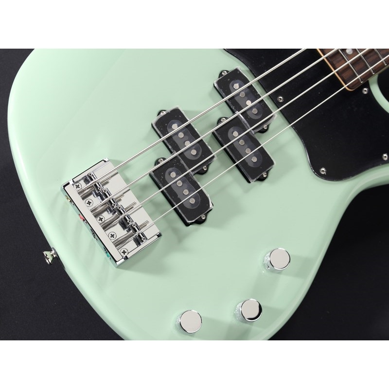 Freedom Custom Guitar Research C.S.Blowzer 4st PP 若竹色