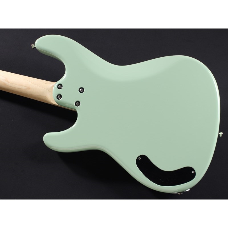 Freedom Custom Guitar Research C.S.Blowzer 4st PP 若竹色 画像10