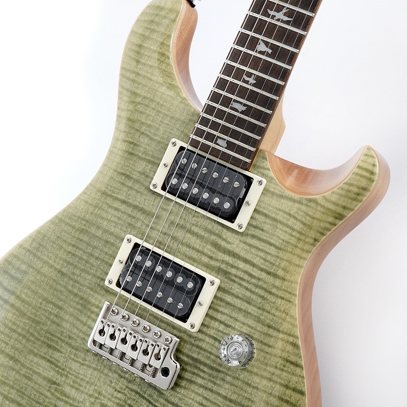 P.R.S. SE Custom 24 (Trampas Green) ｜イケベ楽器店オンライン