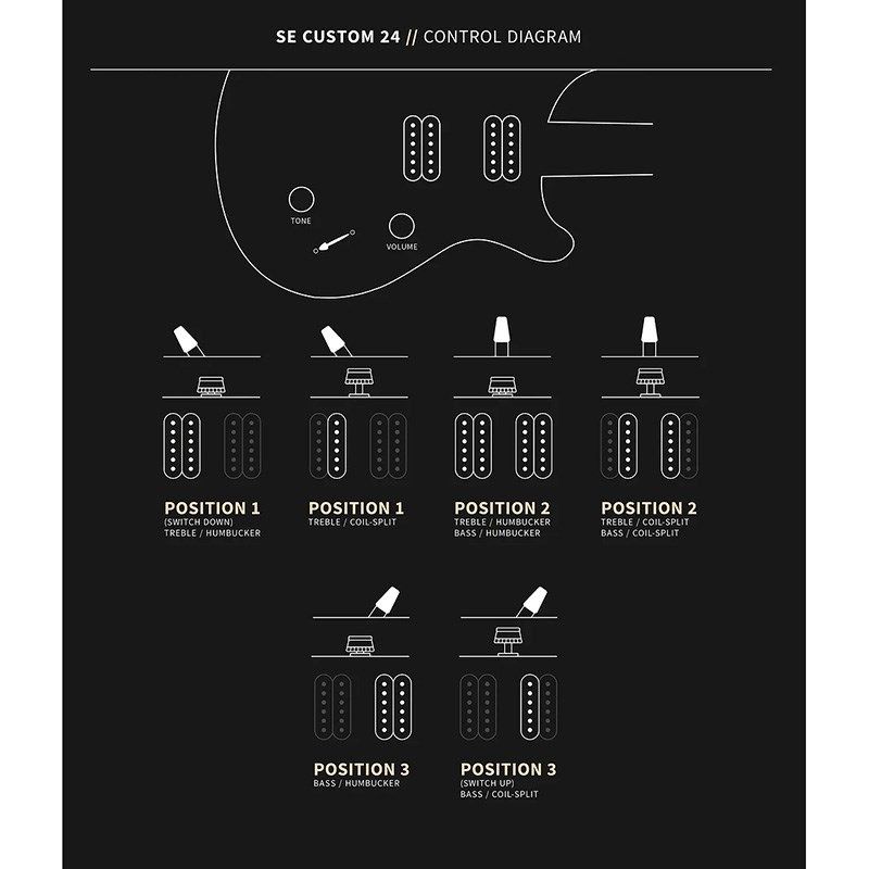 P.R.S. SE Custom 24 (Gray Black) ｜イケベ楽器店オンラインストア
