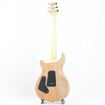 P.R.S. SE Custom 24 (Trampas Green) 画像2