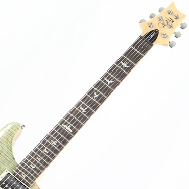P.R.S. SE Custom 24 (Trampas Green) ｜イケベ楽器店オンライン
