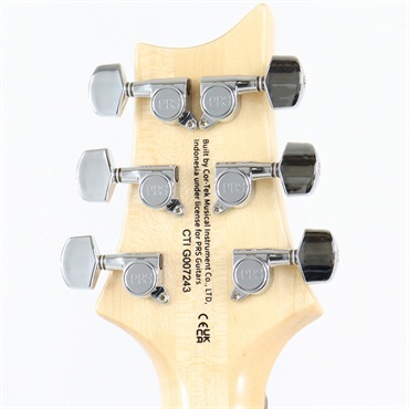 P.R.S. SE Custom 24 (Trampas Green) 画像8