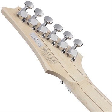 Ibanez J-LINE RG6HSHMTR-BGY (Blue Gray) [SPOT MODEL] 画像5