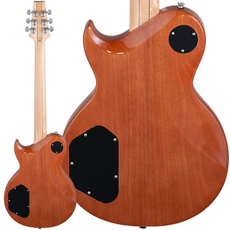Aria ProII PE-700 (BS) 画像1