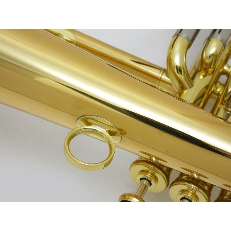 CAROL BRASS キャロルブラス / N6200 GB 【Bb フリューゲル ホルン 