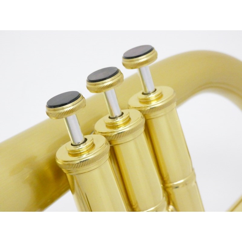 CAROL BRASS キャロルブラス / N6200 SATIN-BELL 【Bb フリューゲル ホルン】【調整後出荷】 画像4