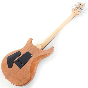 P.R.S. SE Custom 24 (Trampas Green) 画像2