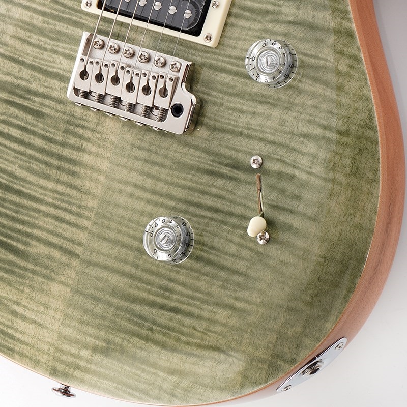 P.R.S. SE Custom 24 (Trampas Green) ｜イケベ楽器店オンライン