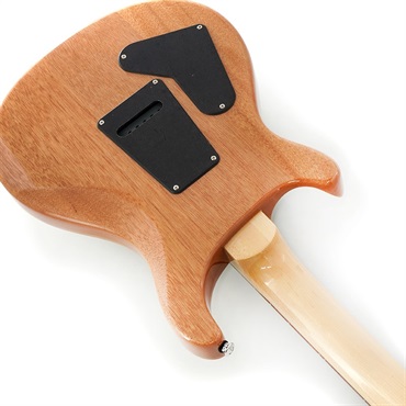 P.R.S. SE Custom 24 (Trampas Green) 画像6