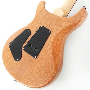 P.R.S. SE Custom 24 (Trampas Green) 画像7