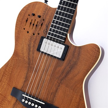 Godin A6 ULTRA Extream KOA HG 展示特価！ 画像3