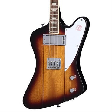 Epiphone Mandobird エレキマンドリン 8弦 ケース付属 Epiphone Mandobird (VS) [エレクトリックマンドリン] ｜イケベ楽器店