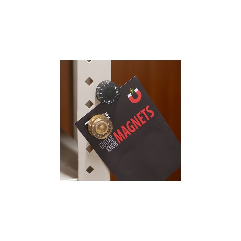 PERRI'S GNM-03 GUITAR KNOB MAGNETS LP BLACK 画像3