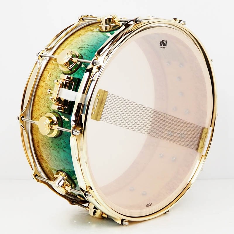 dw 【USED】Collector's Exotic Standard 14×6 Snare [Standard