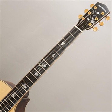EASTMAN AC622CE イーストマン 画像9