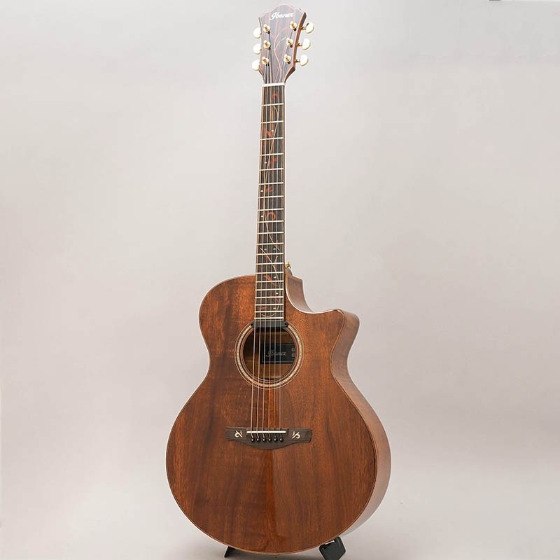 Ibanez 【数量限定特価】【売り尽くしSALE】 AE295LTD-NT アイバニーズ 