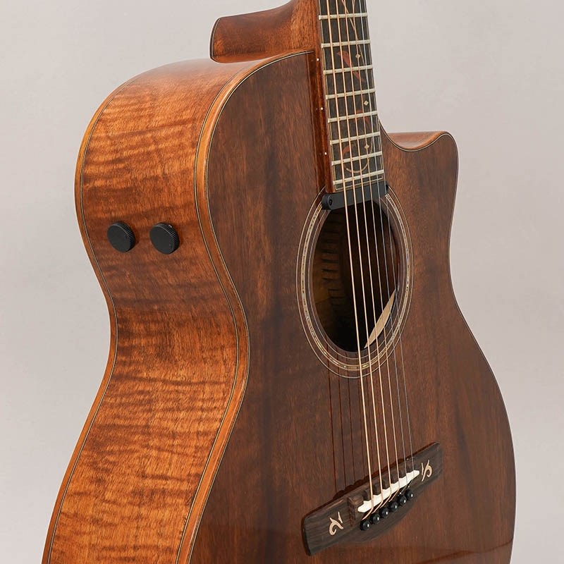 Ibanez 【数量限定特価】【売り尽くしSALE】 AE295LTD-NT アイバニーズ 