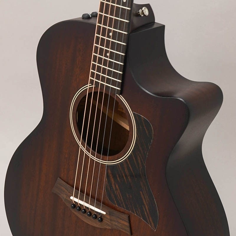 TAYLOR 【値下げ！！】【創業50周年大決算SALE】AD24ce テイラー 画像6