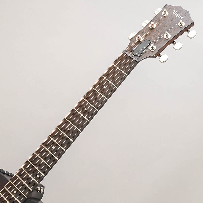 TAYLOR 【値下げ！！】【創業50周年大決算SALE】AD24ce テイラー 画像8