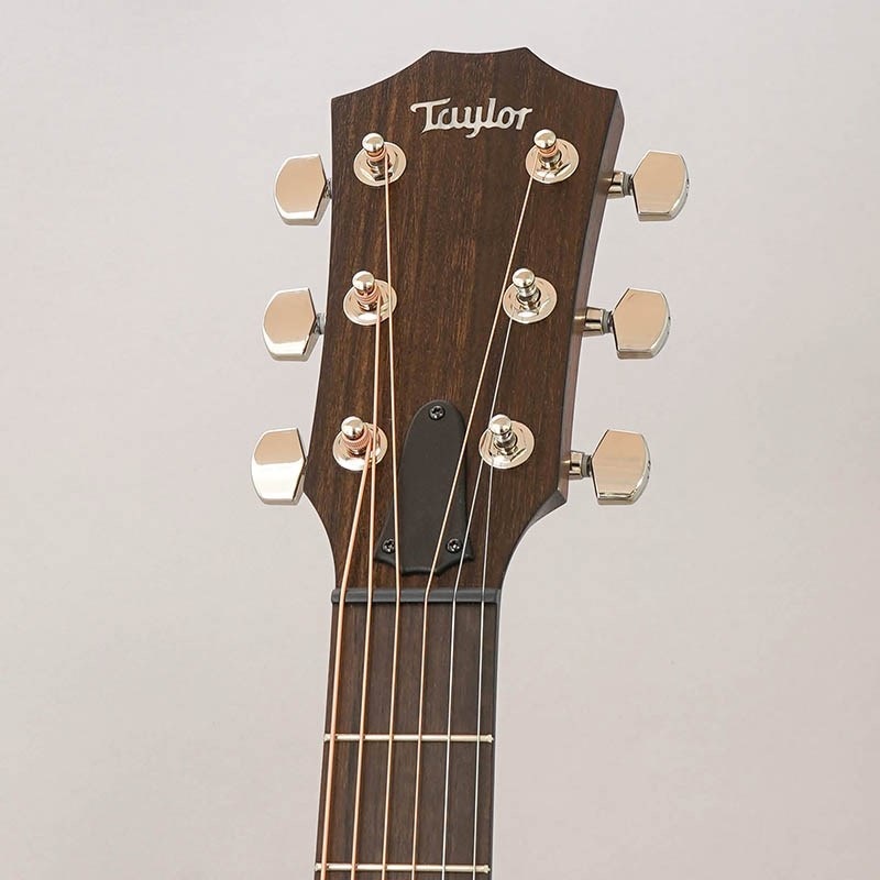TAYLOR 【値下げ！！】【創業50周年大決算SALE】AD24ce テイラー 画像10